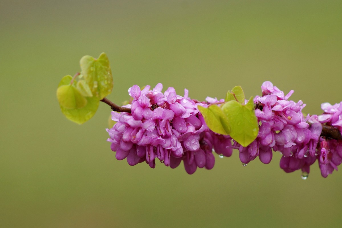 闲鱼淘个美能达100-300镜头试拍