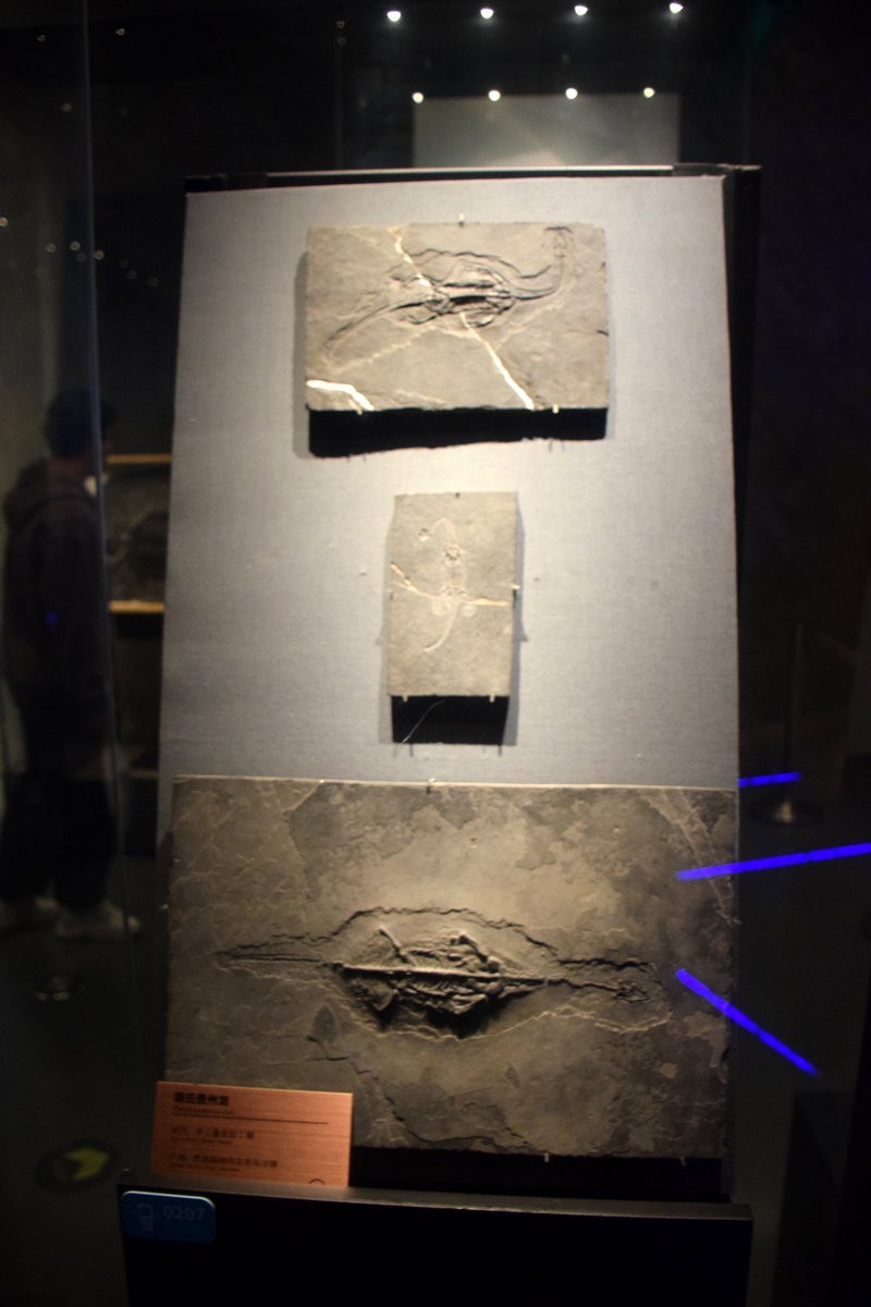 2023夏 黔赣鄂渝川（17）贵博的镇馆之宝