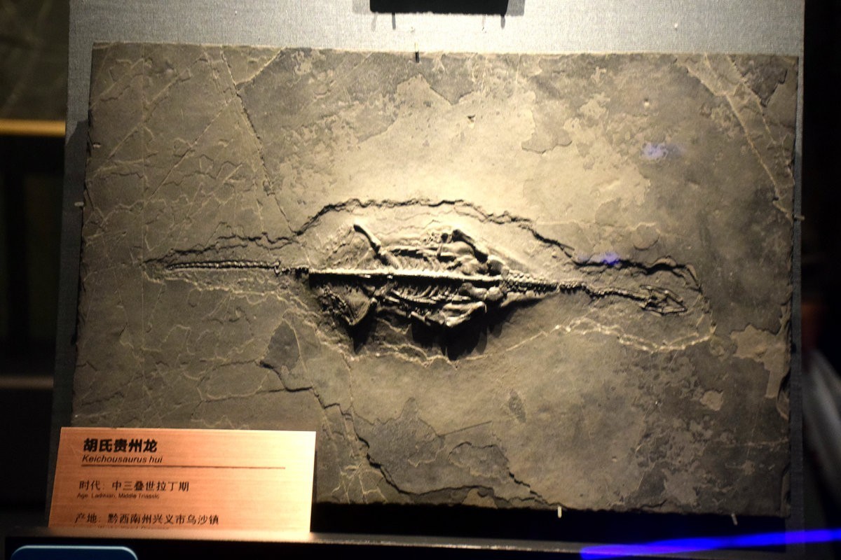 2023夏 黔赣鄂渝川（17）贵博的镇馆之宝