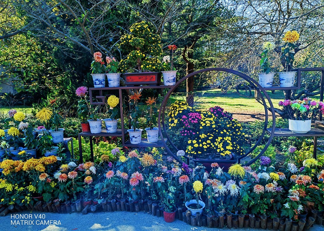 旅游扫街抓拍片《风景，花草和妹子》请大家欣赏指教！