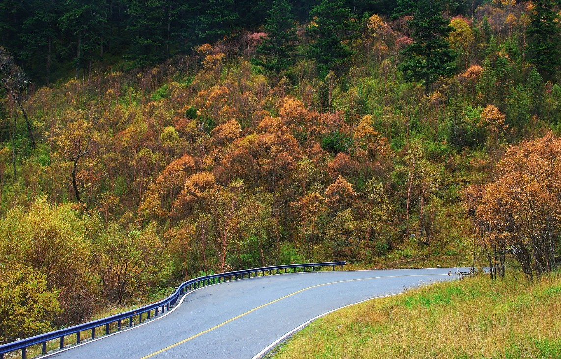旅游扫街抓拍片《风景，花草和妹子》请大家欣赏指教！