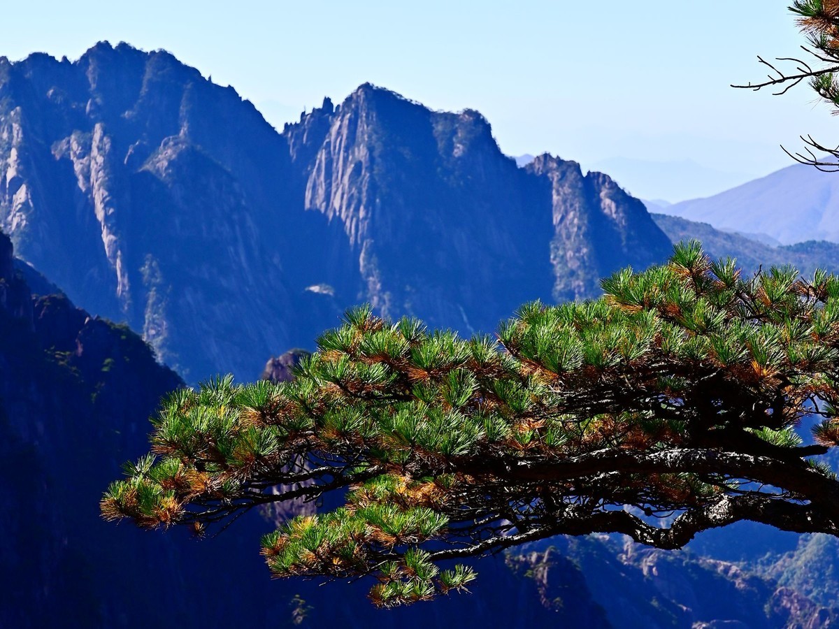 入手尼康Z5加Z24-70F4套机黄山试拍风景