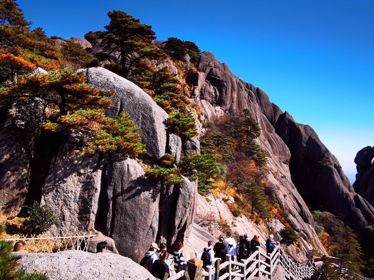入手尼康Z5加Z24-70F4套机黄山试拍风景