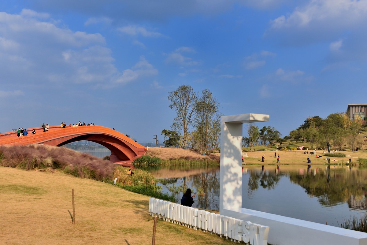 兴隆湖湿地公园【7】