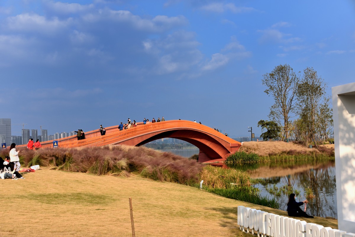 兴隆湖湿地公园【7】