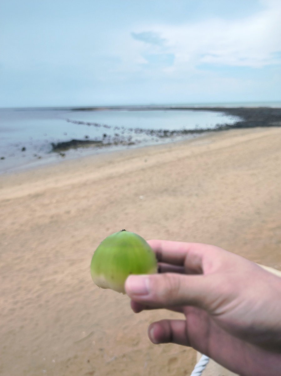 2024夏 海南环岛行（154） 临高角“仙人指路”