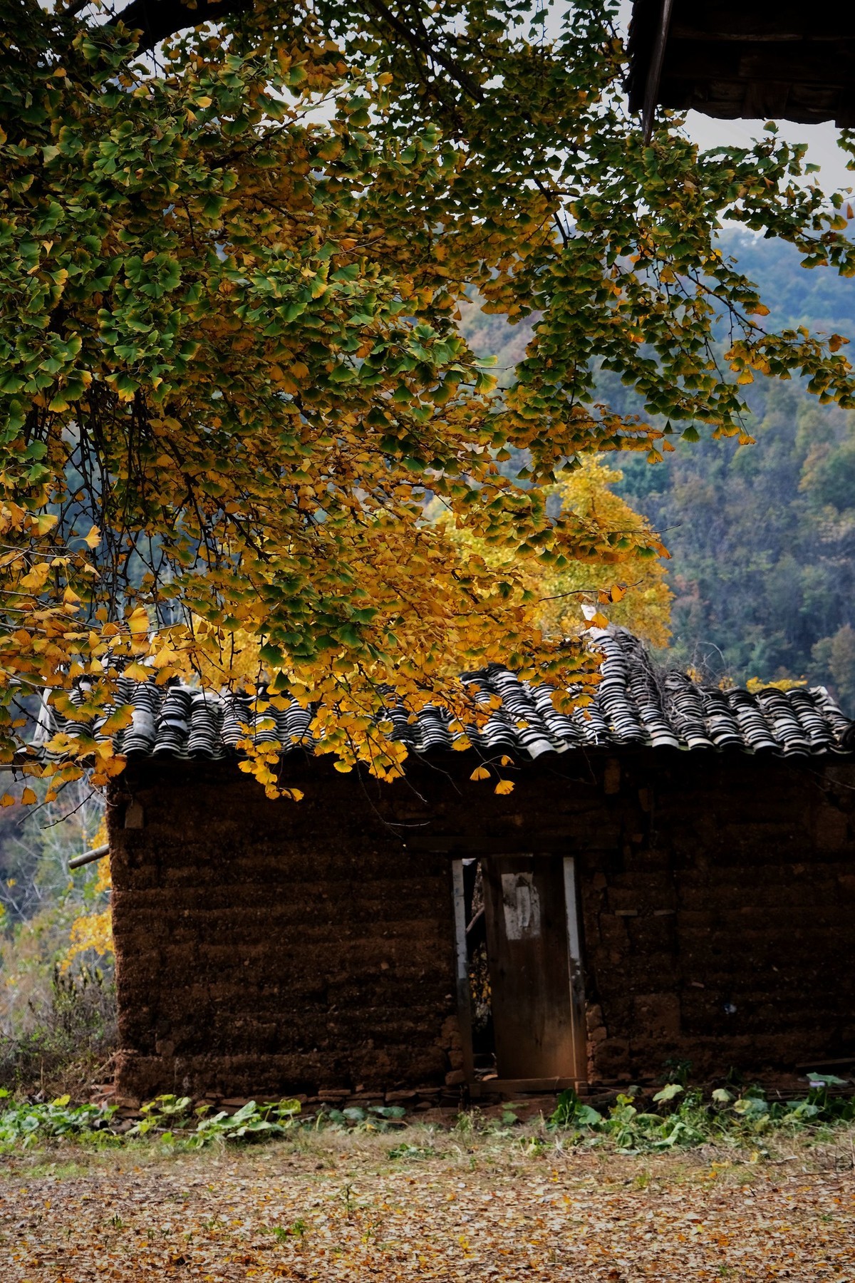 游拍初冬的小山村景色