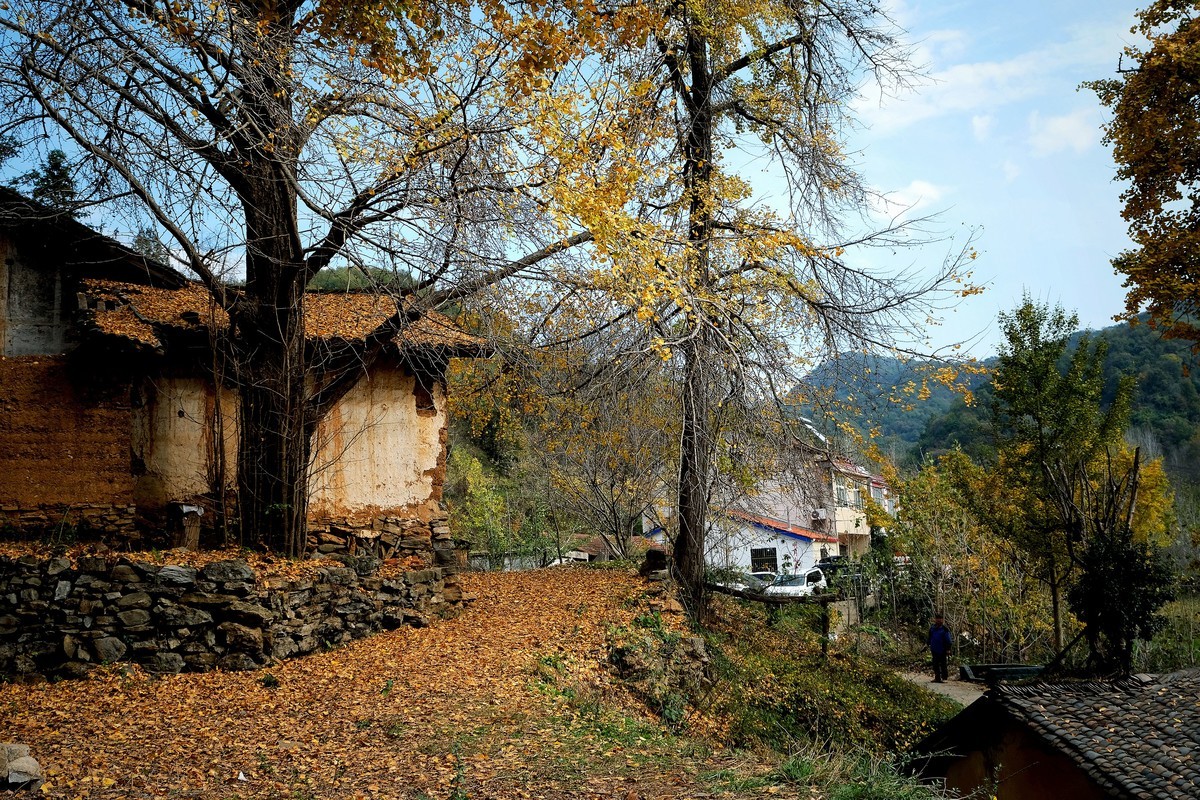 游拍初冬的小山村景色