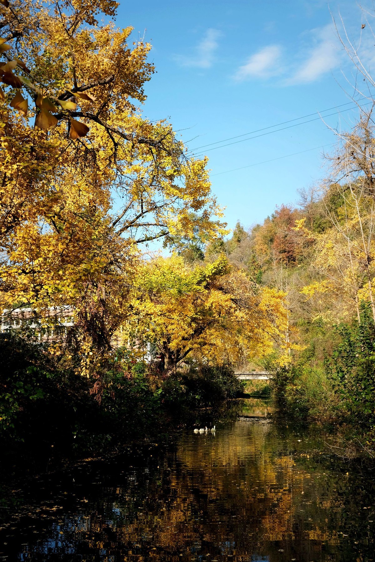 游拍初冬的小山村景色
