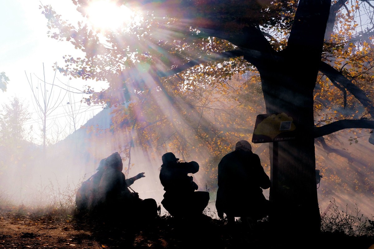 游拍初冬的小山村景色