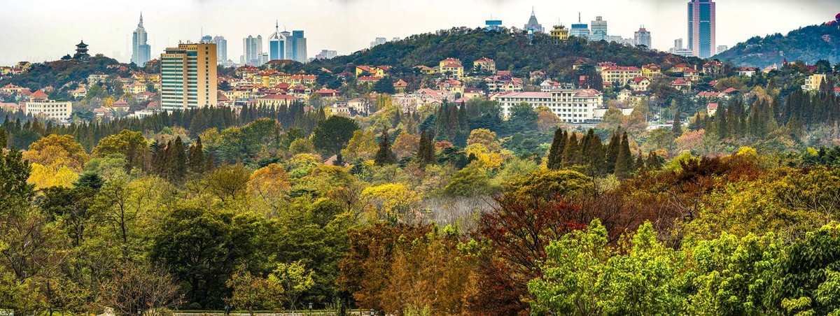 青岛中山公园秋色