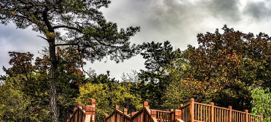 青岛中山公园秋色