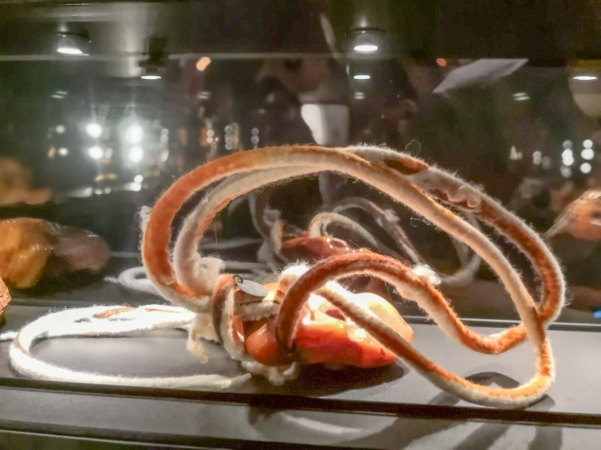 “马尔堡”留影（波兰之东欧最大堡垒）