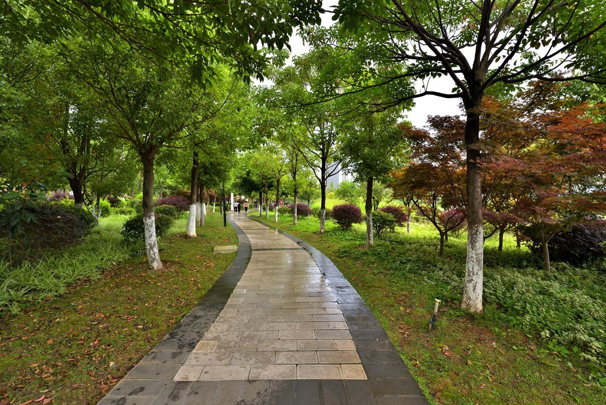 云南保山青华海湿地公园1