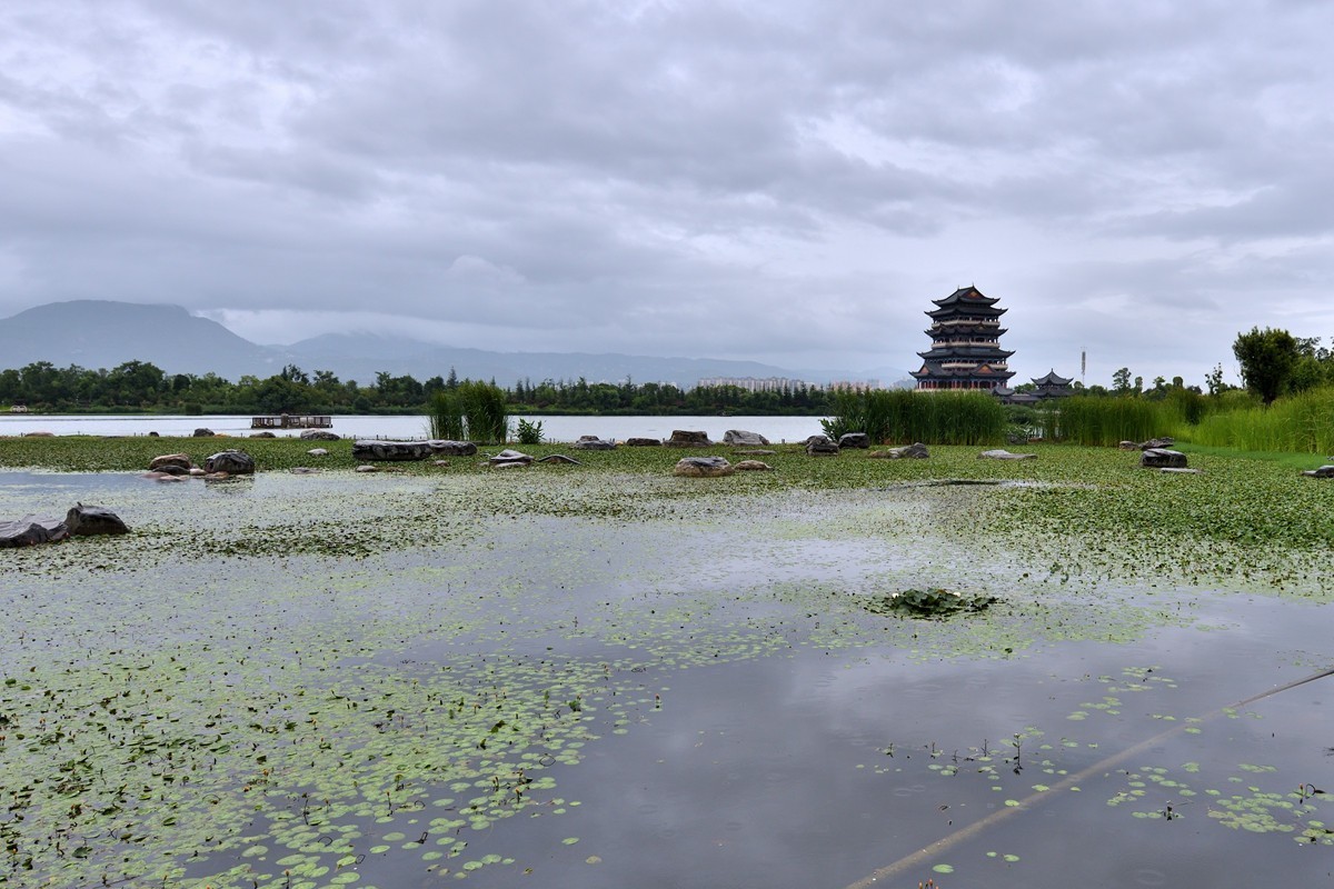 云南保山青华海湿地公园1