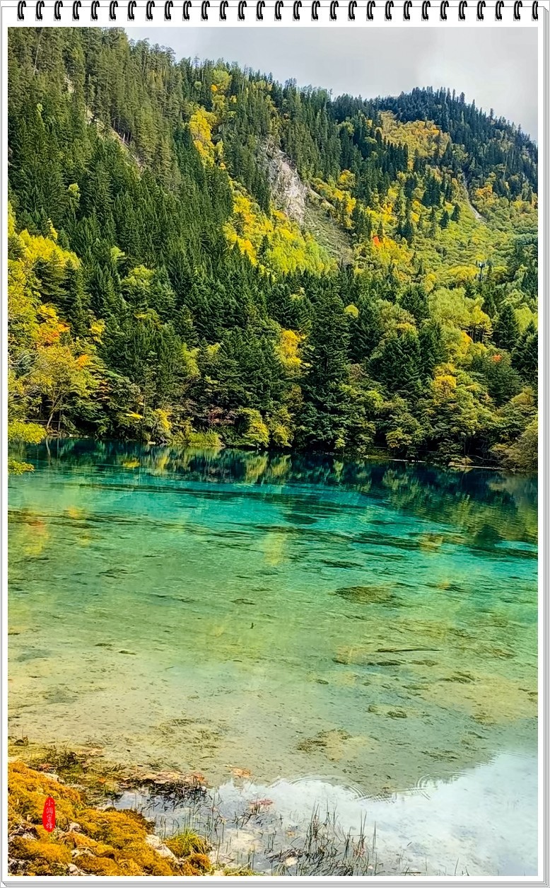 2022年九寨沟云拍-82