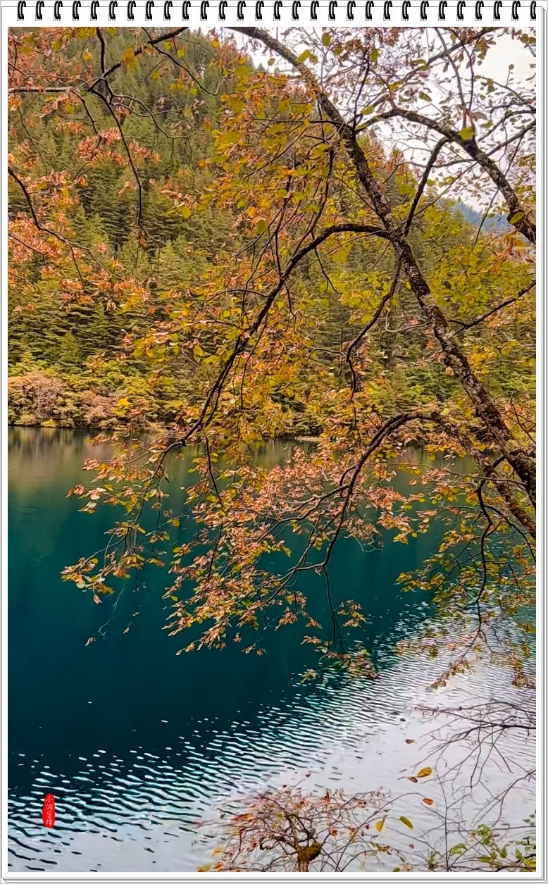 2022年九寨沟云拍-82