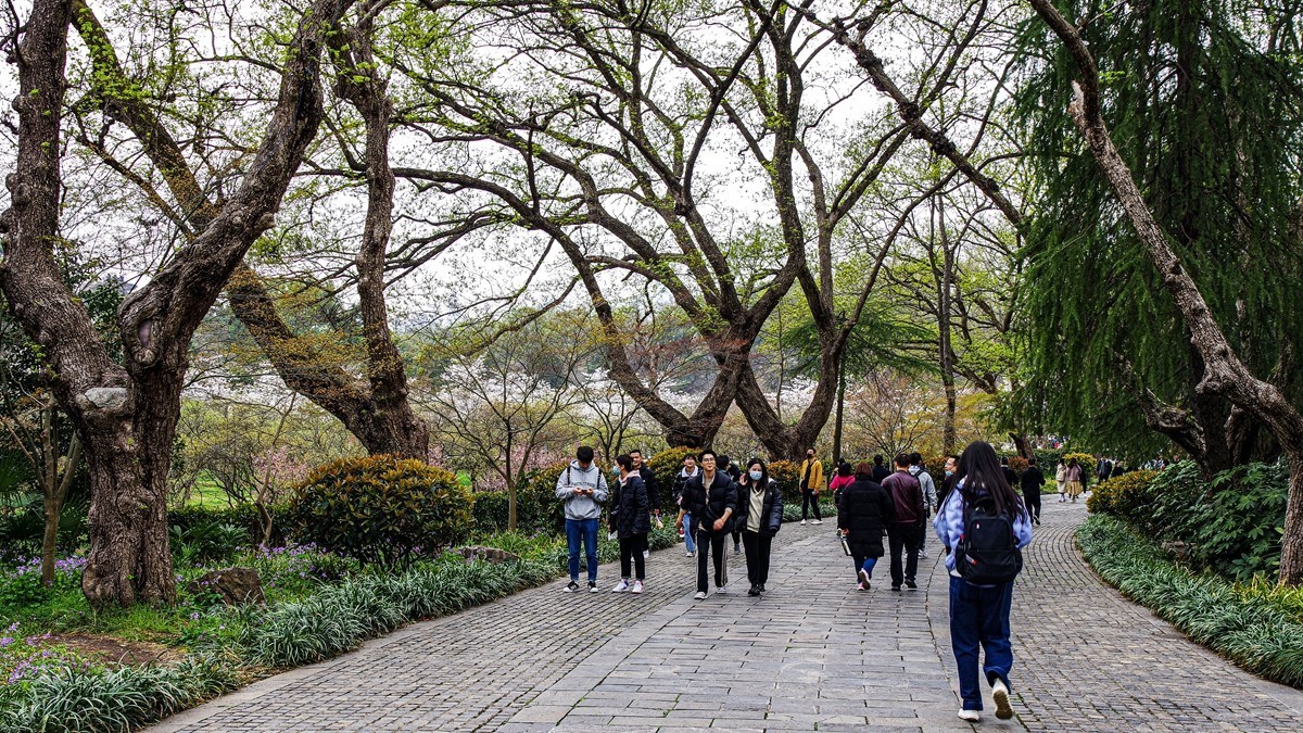 南京--参观明孝陵【1】告假帖