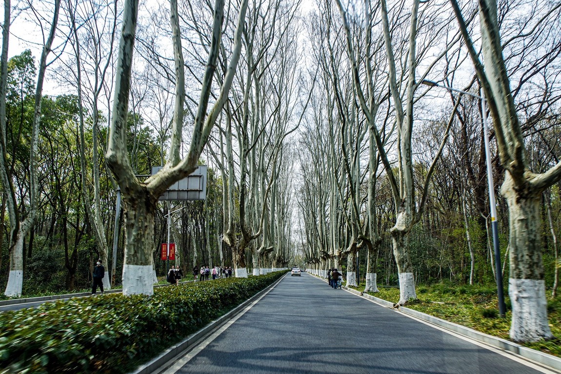 南京--参观明孝陵【1】告假帖