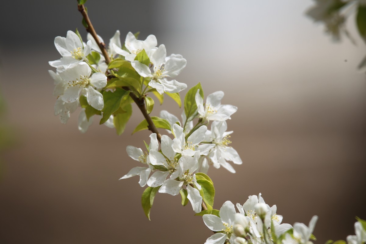 1D4杂片。无修原图