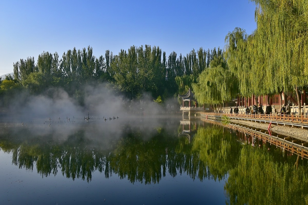 枫叶红了的季节
