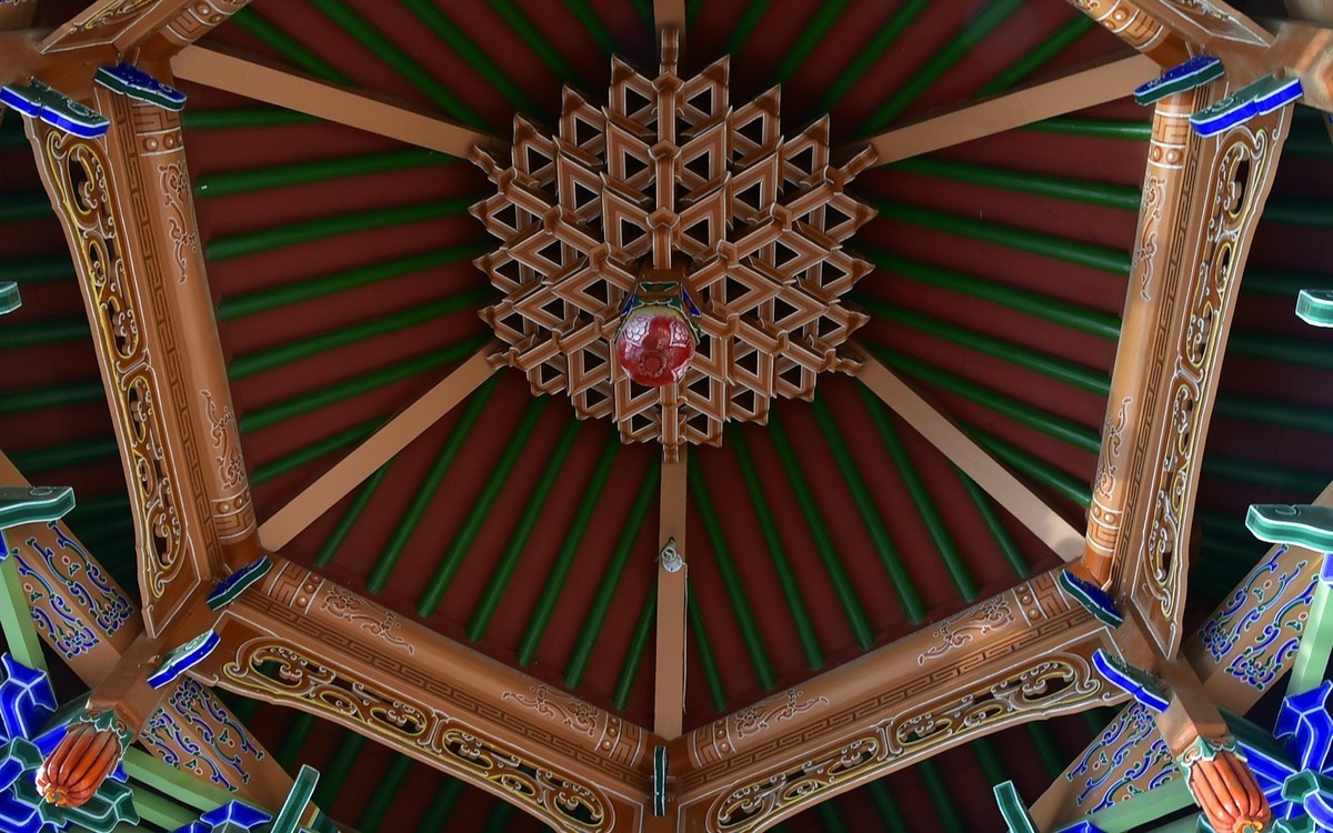 枫叶红了的季节