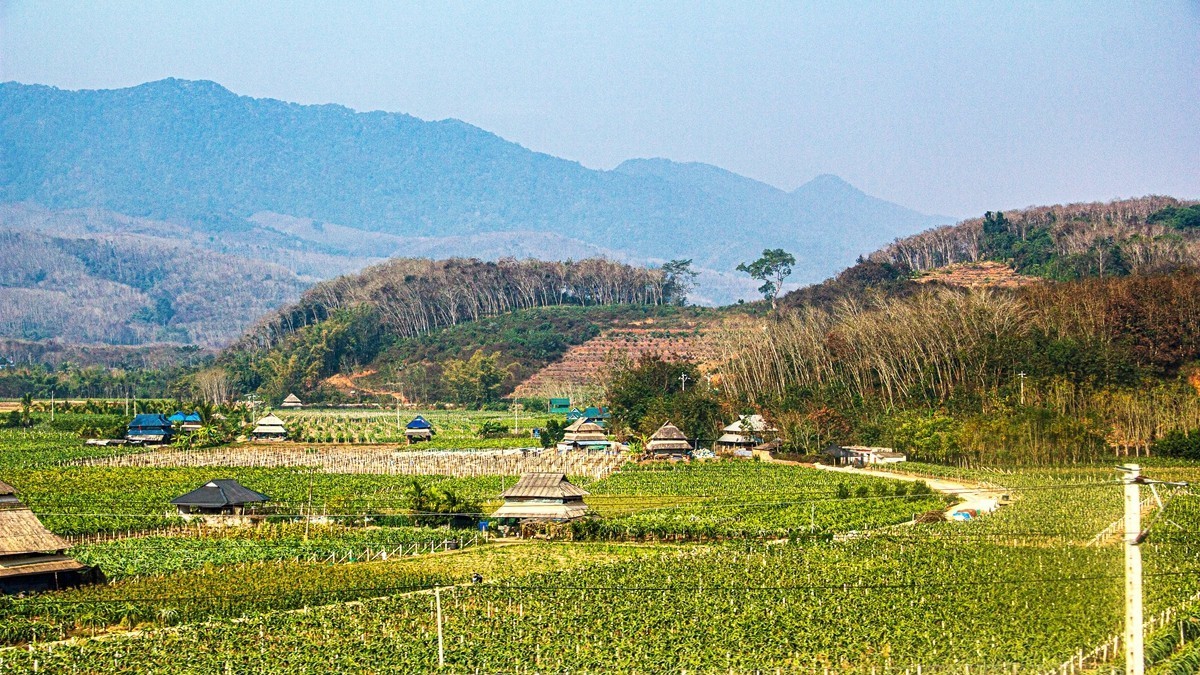 坐着火车到版纳沿途风光【2】