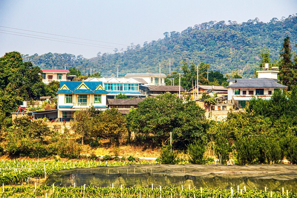 坐着火车到版纳沿途风光【2】