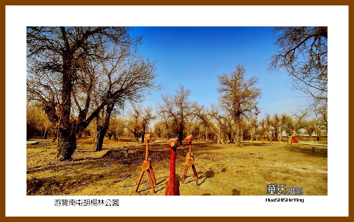 2023西行游记（新疆007）———游览南屯胡杨林公园（巴音郭楞州且末县）