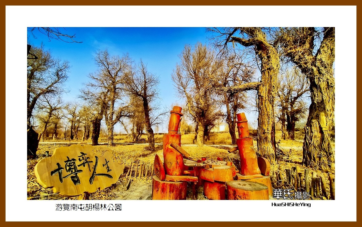 2023西行游记（新疆007）———游览南屯胡杨林公园（巴音郭楞州且末县）