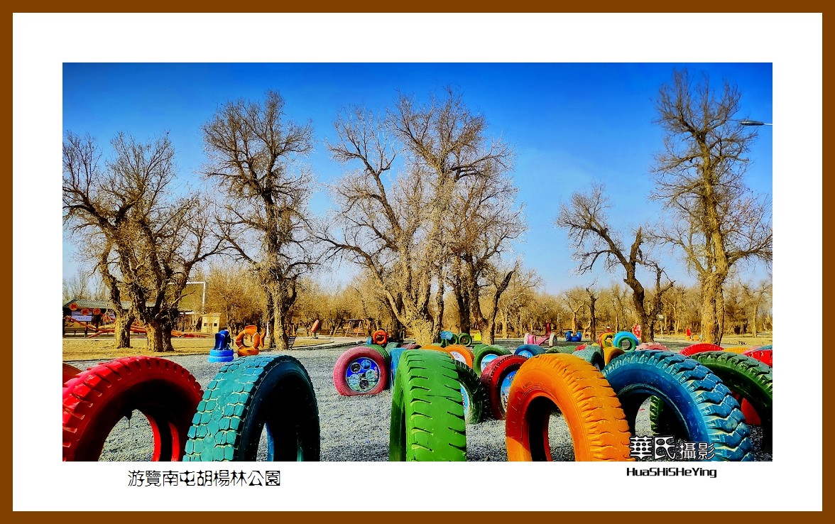 2023西行游记（新疆007）———游览南屯胡杨林公园（巴音郭楞州且末县）