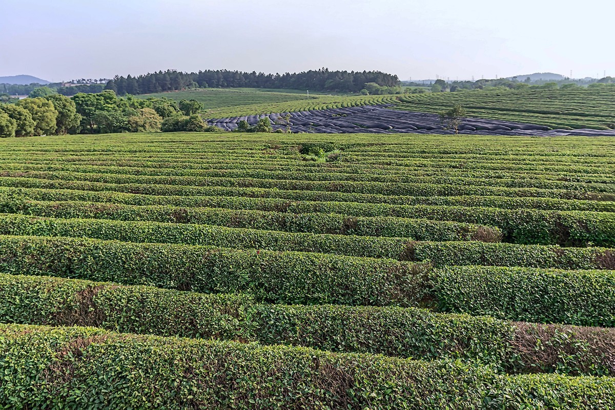 旅游记录 ：江西 · 南昌 · 凤凰沟景区