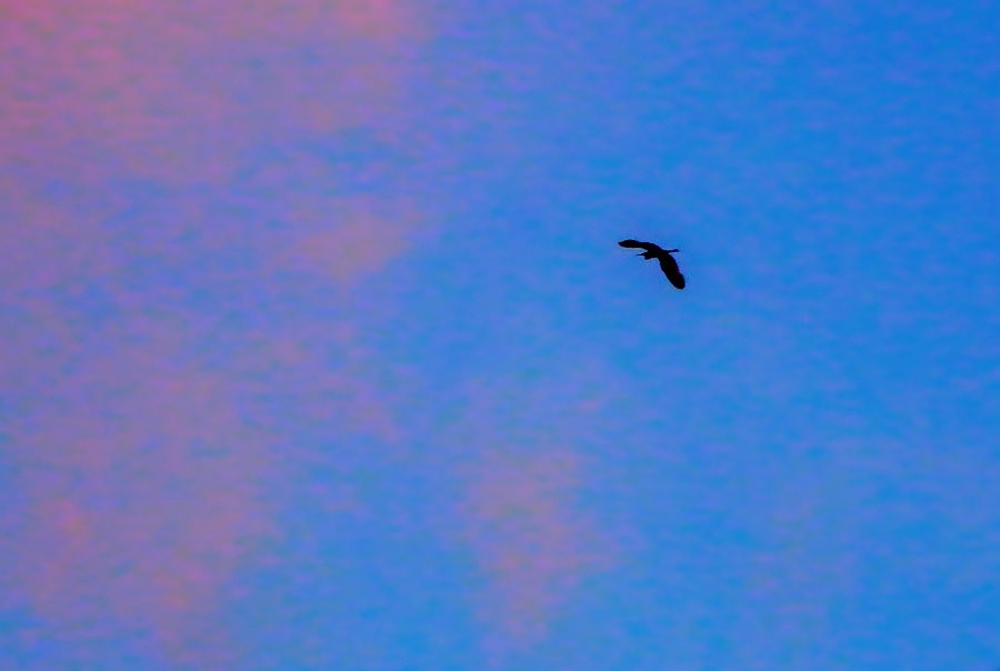 《不老松：纪实摄影》【大美河山系列报導】三游东戴河！ (16)傍晚的火烧云！