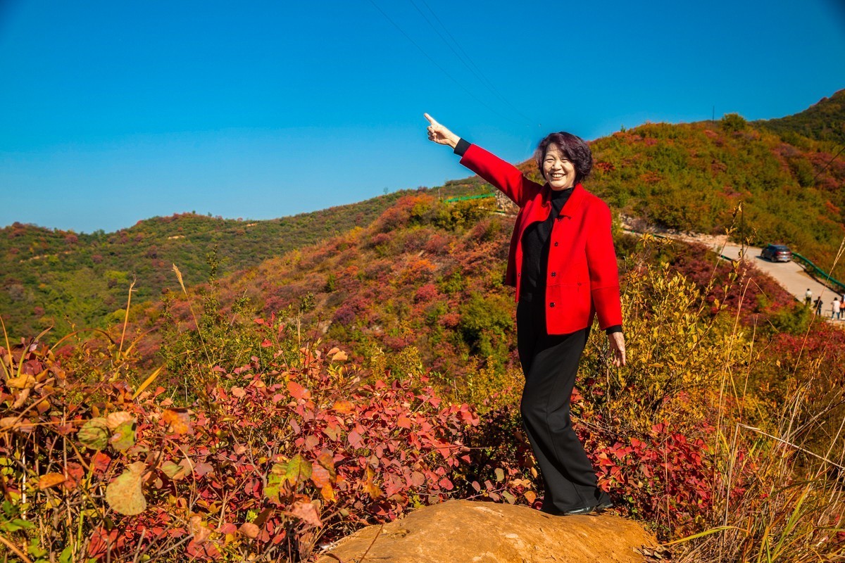 赵老峪北的红叶