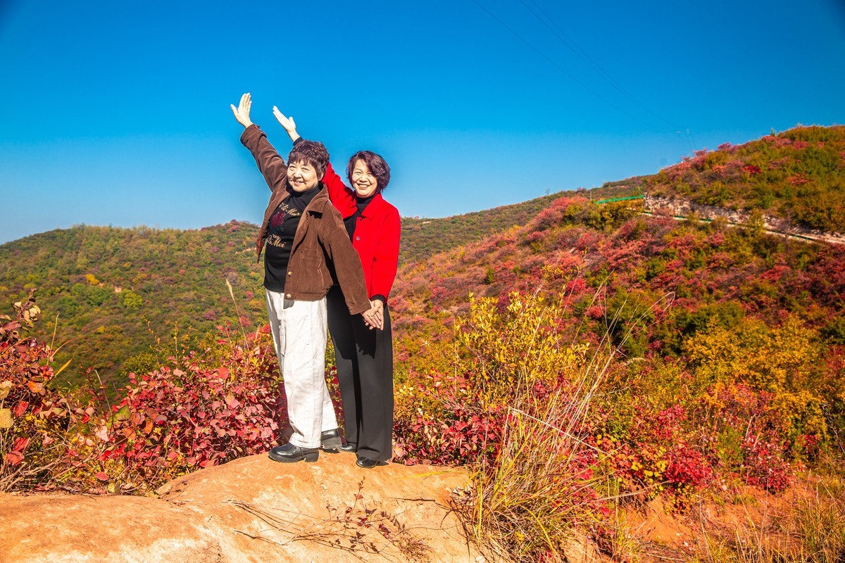 赵老峪北的红叶