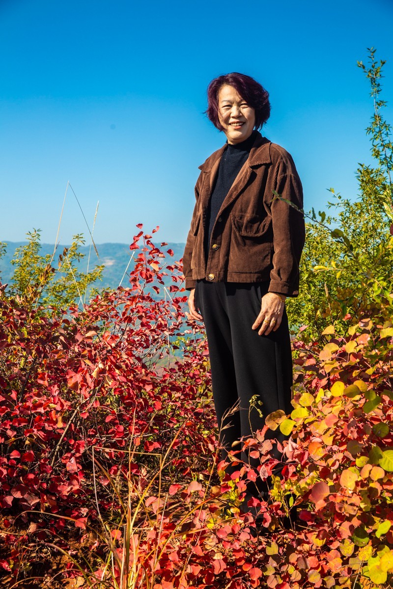 赵老峪北的红叶