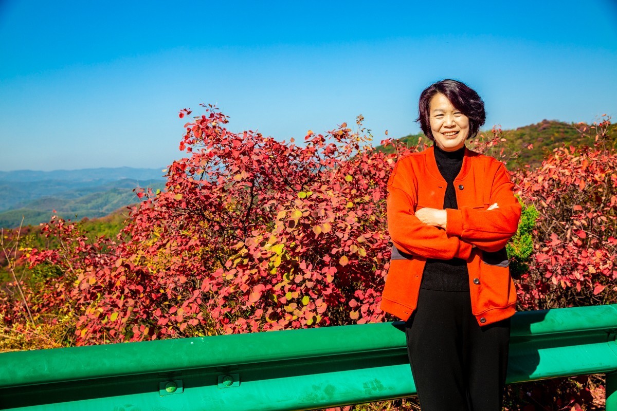 赵老峪北的红叶