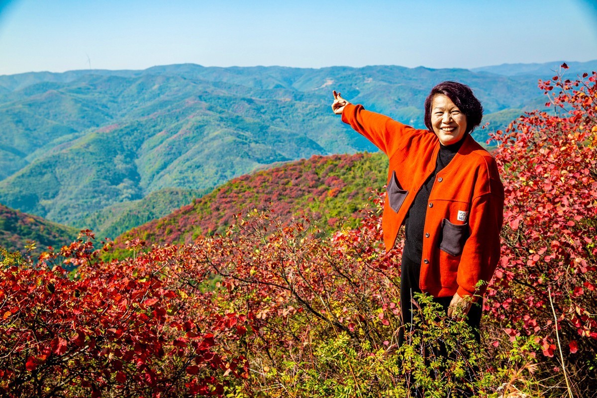 赵老峪北的红叶