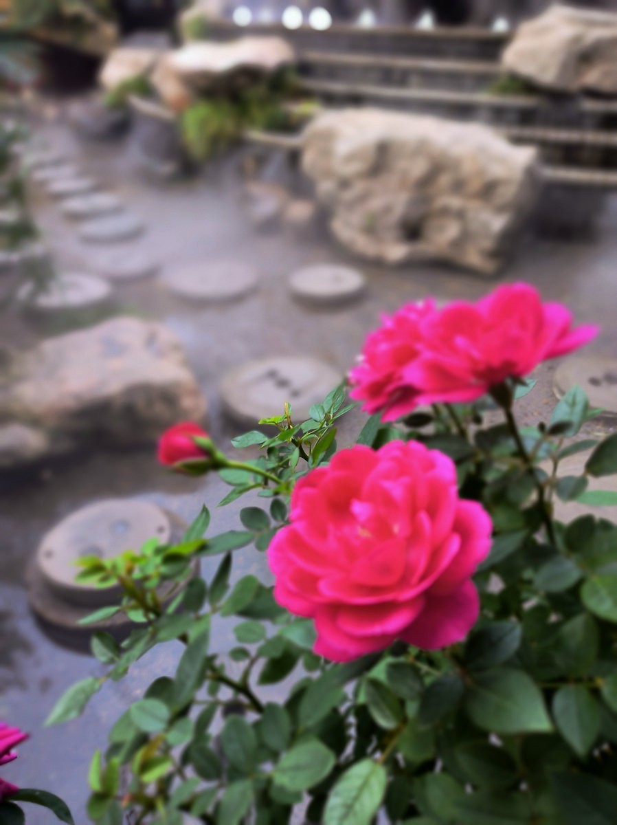 漫步星城 走街串巷（512）长沙很丽江