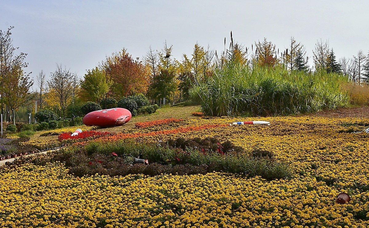 西安长安公园的秋季