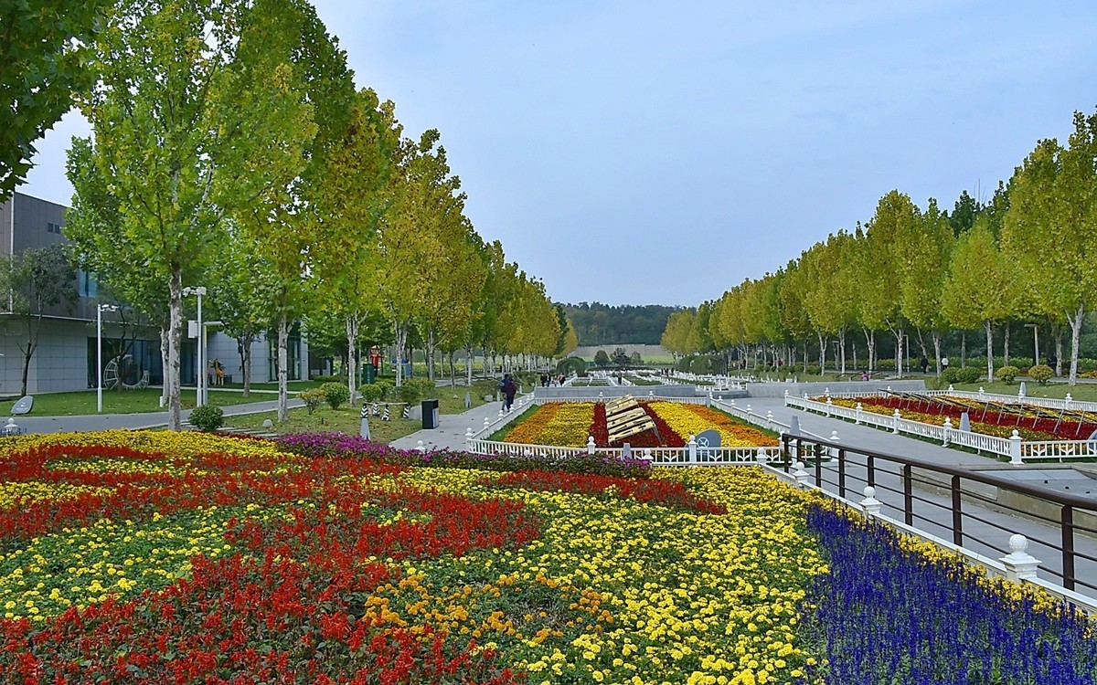 西安长安公园的秋季