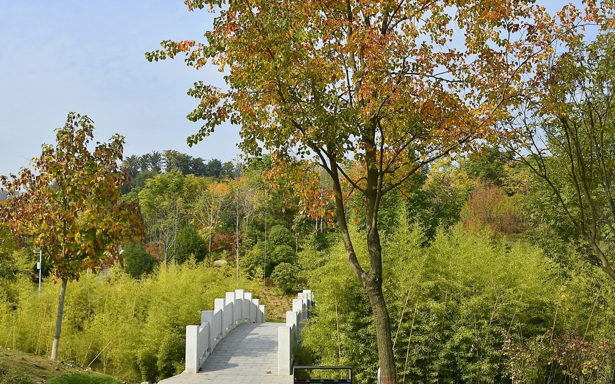 西安长安公园的秋季