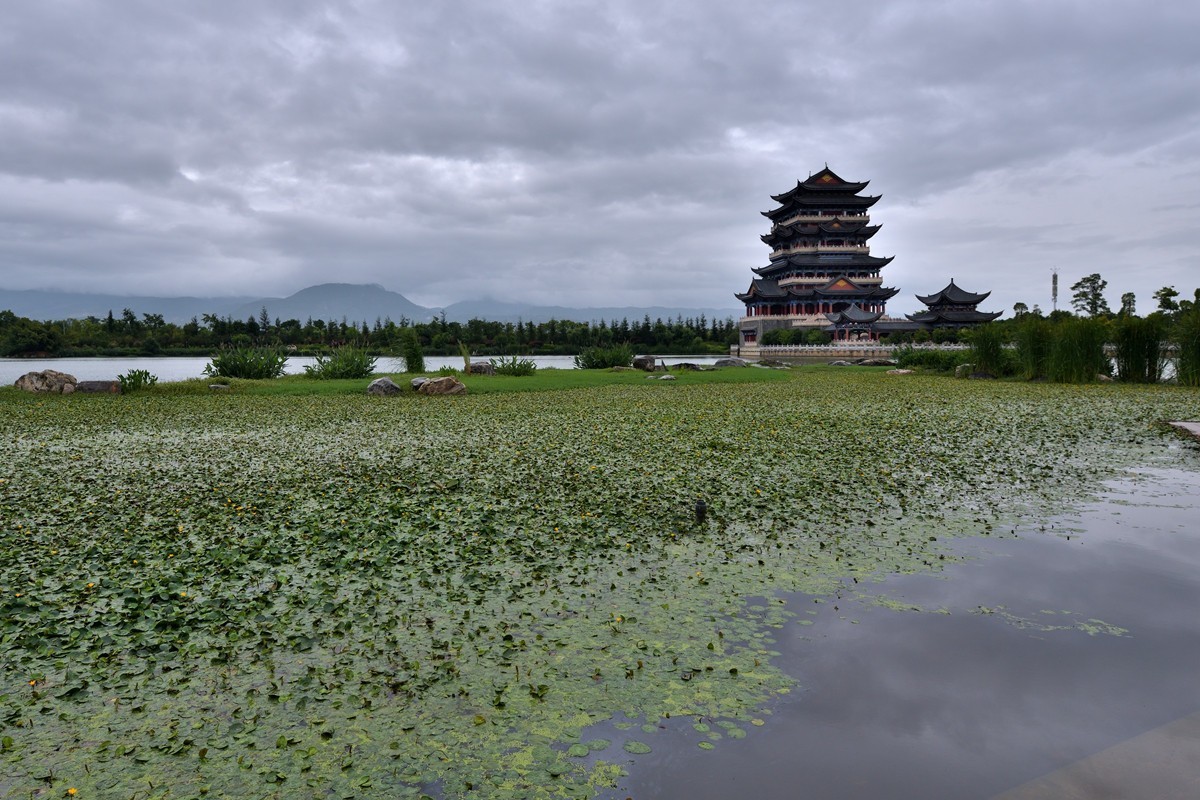 云南保山青华海湿地公园1