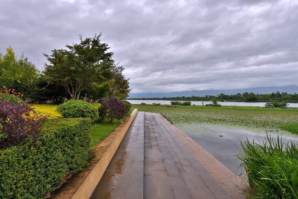 云南保山青华海湿地公园1