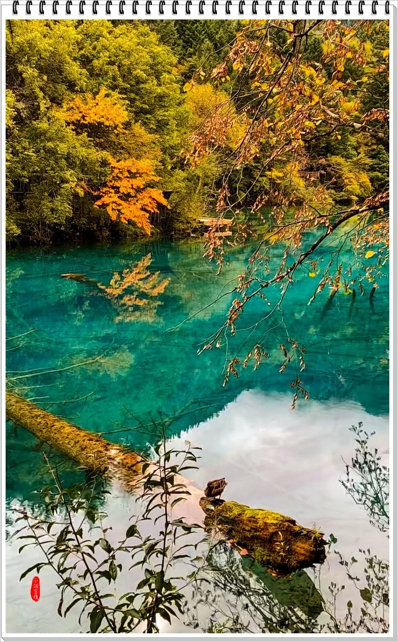 2022年九寨沟云拍-82