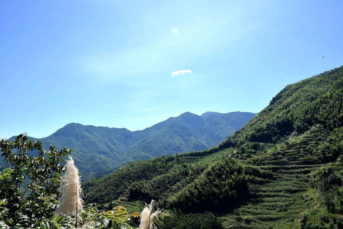 2022夏 湘赣边（42）万龙山乡