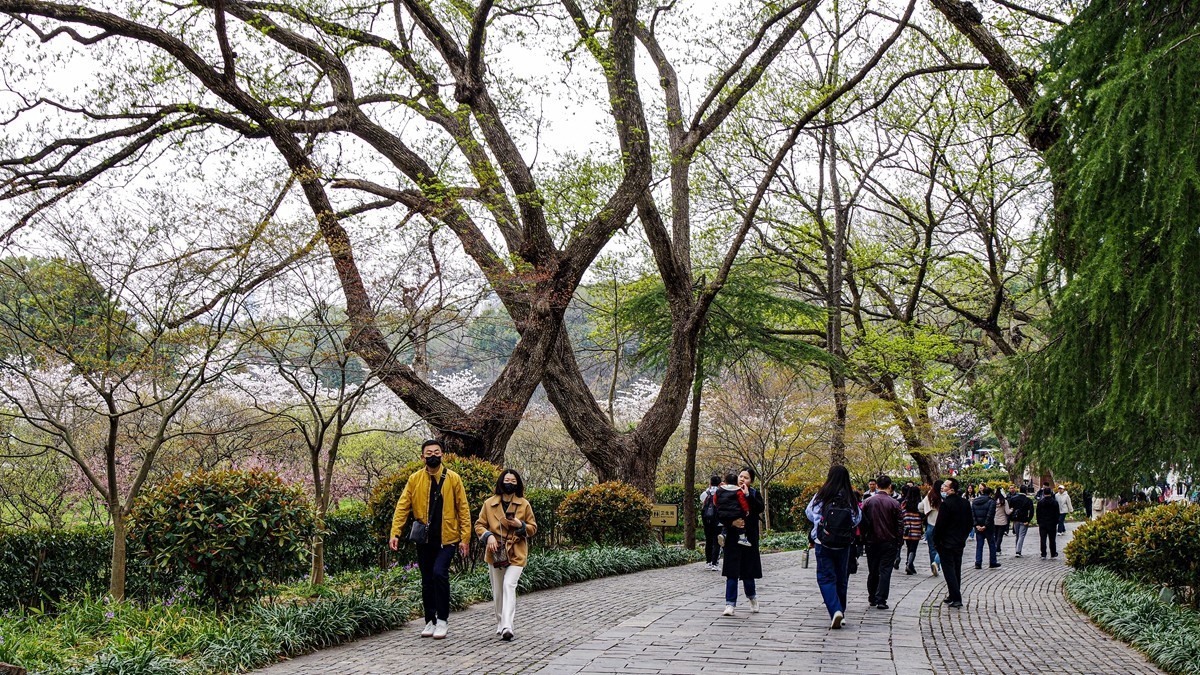 南京--参观明孝陵【1】告假帖