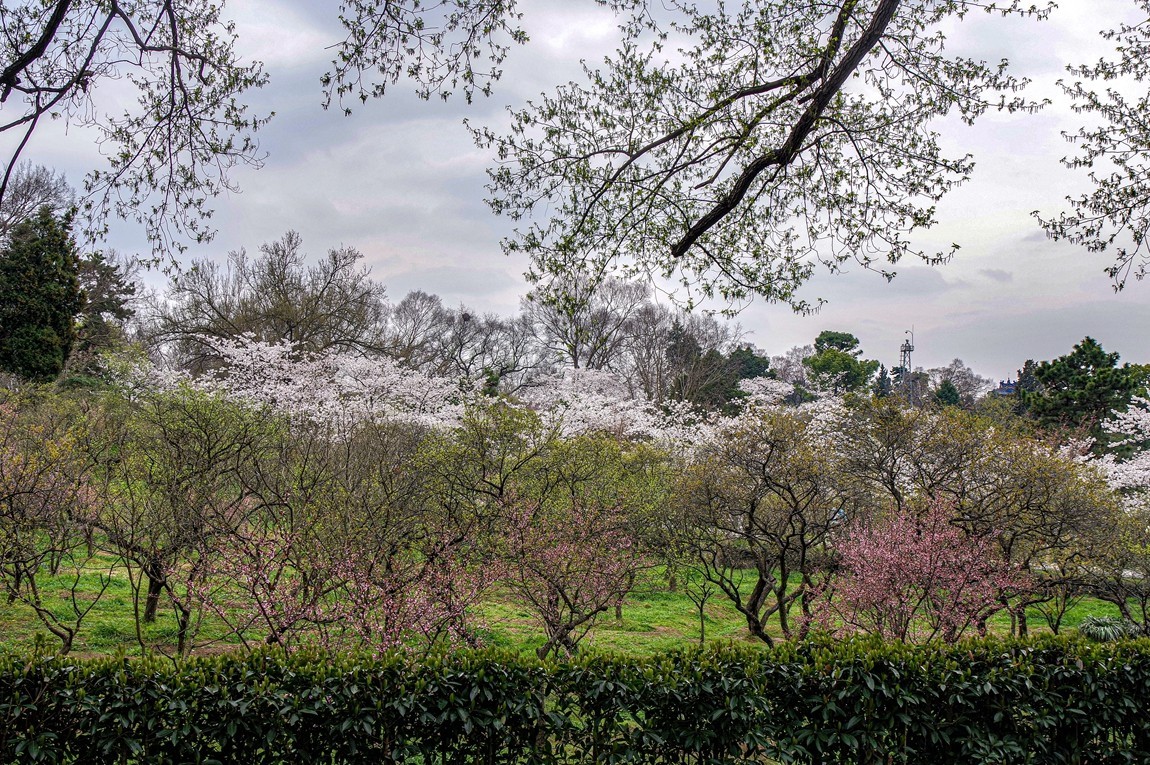 南京--参观明孝陵【1】告假帖
