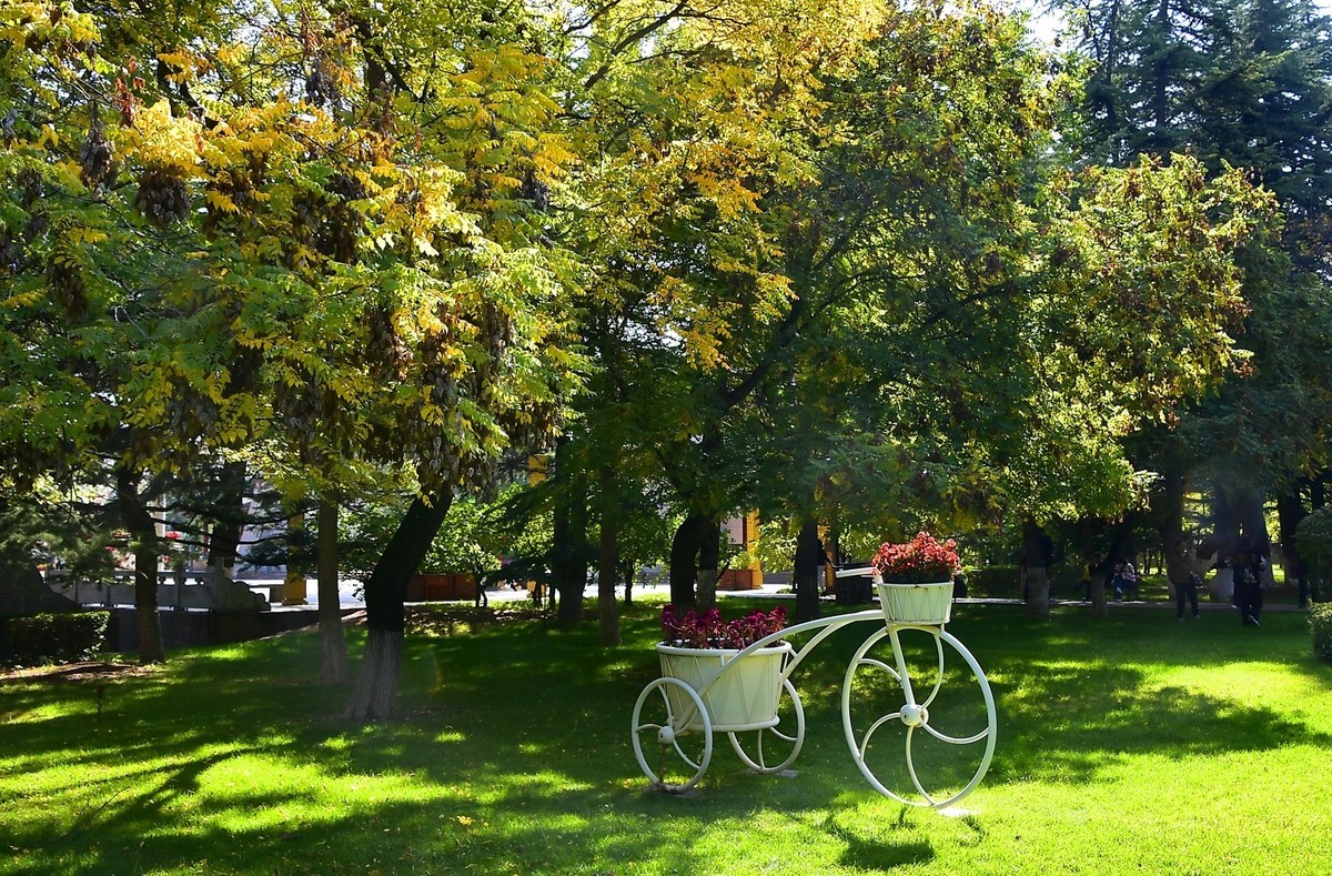枫叶红了的季节
