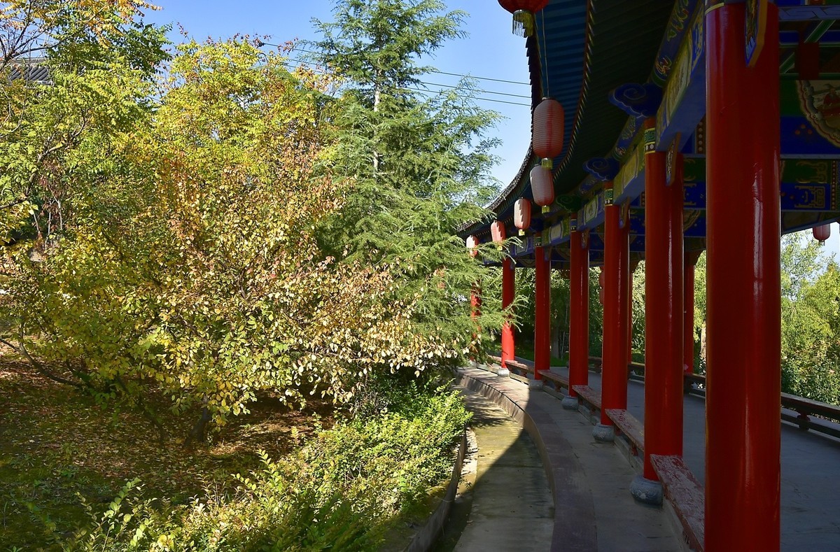 枫叶红了的季节